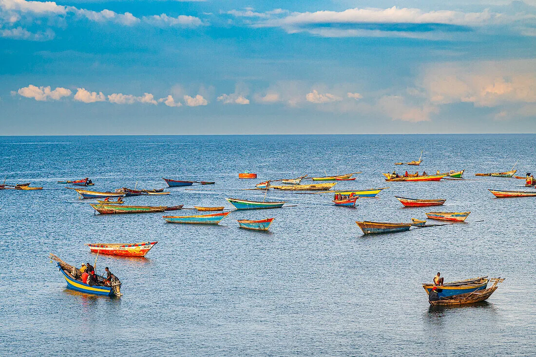 Fresh Migebuka supplied on ice from Lake Tanganyika